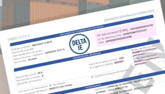 Mise à jour sur le déploiement de DELTA IE (importation et exportation) au 13 janvier 2026.