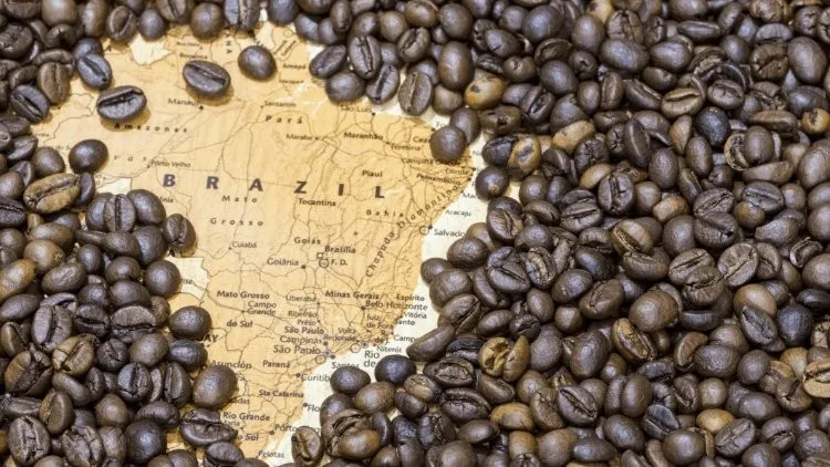 Droits de douane et marché du café : Quelles conséquences sur l’approvisionnement international ?