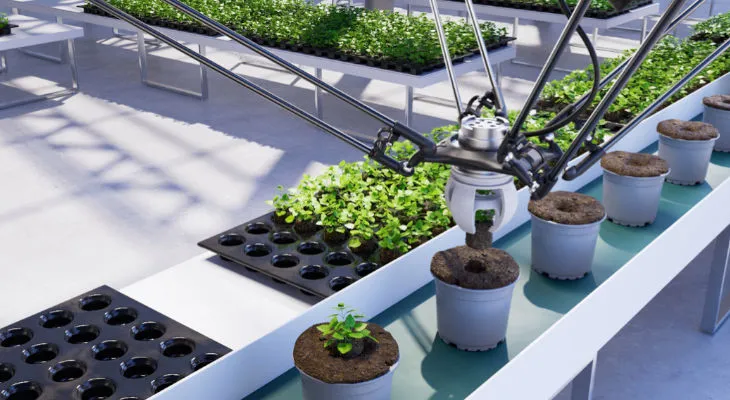 L’IA et l’automatisation redéfinissent l’avenir de la filière fruits et légumes.